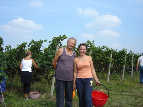 Vendemmia 2010 · 16