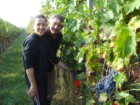 Vendemmia 2010 · 7